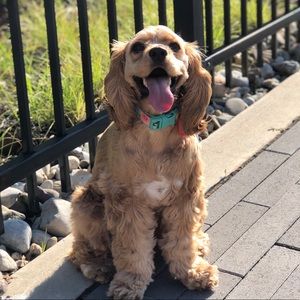 Meet your Posher, Laura